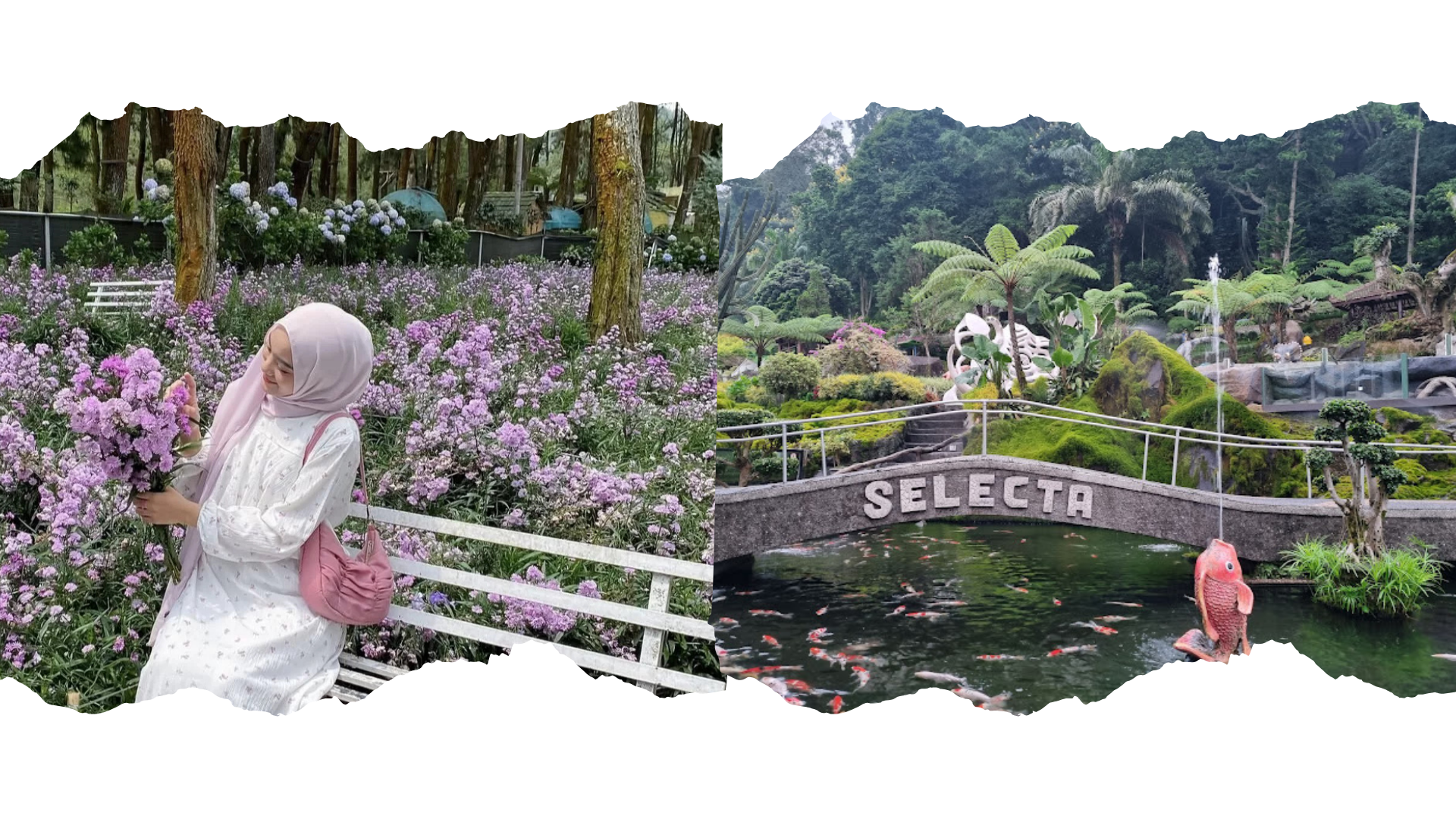 taman-bunga-jawa-timur