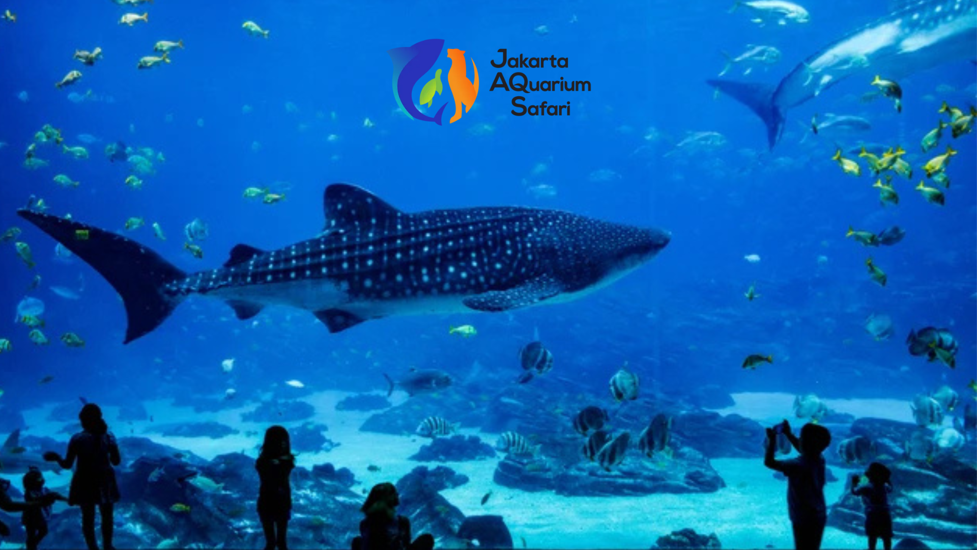 Jakarta Aquarium Safari