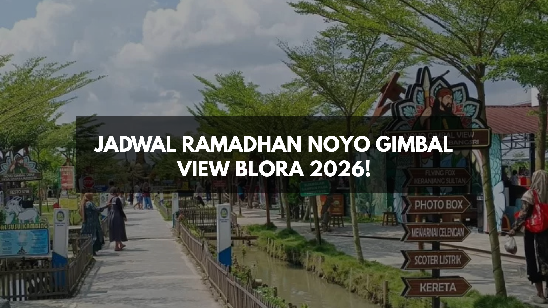 Noyo Gimbal View