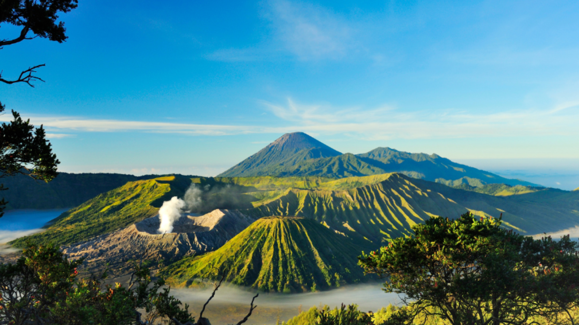 bromo-2026