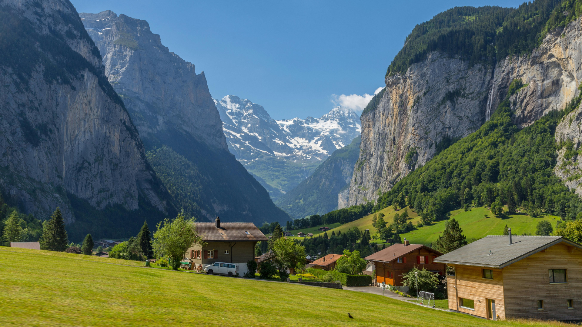 swiss